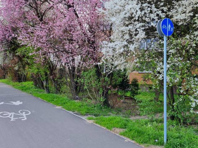 Nowe ścieżki dla rowerzystów i pieszych